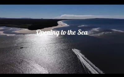 Experience at Noosa bar Noosa Queensland