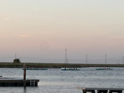 Experience at marine science institute, redwood city, ca