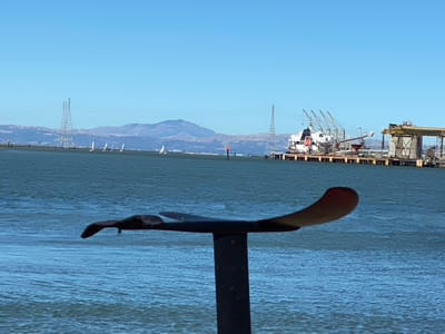 Experience at marine science institute, redwood city, ca