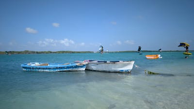 Experience at Lac Bay , Bonaire