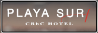Playa Surf logo